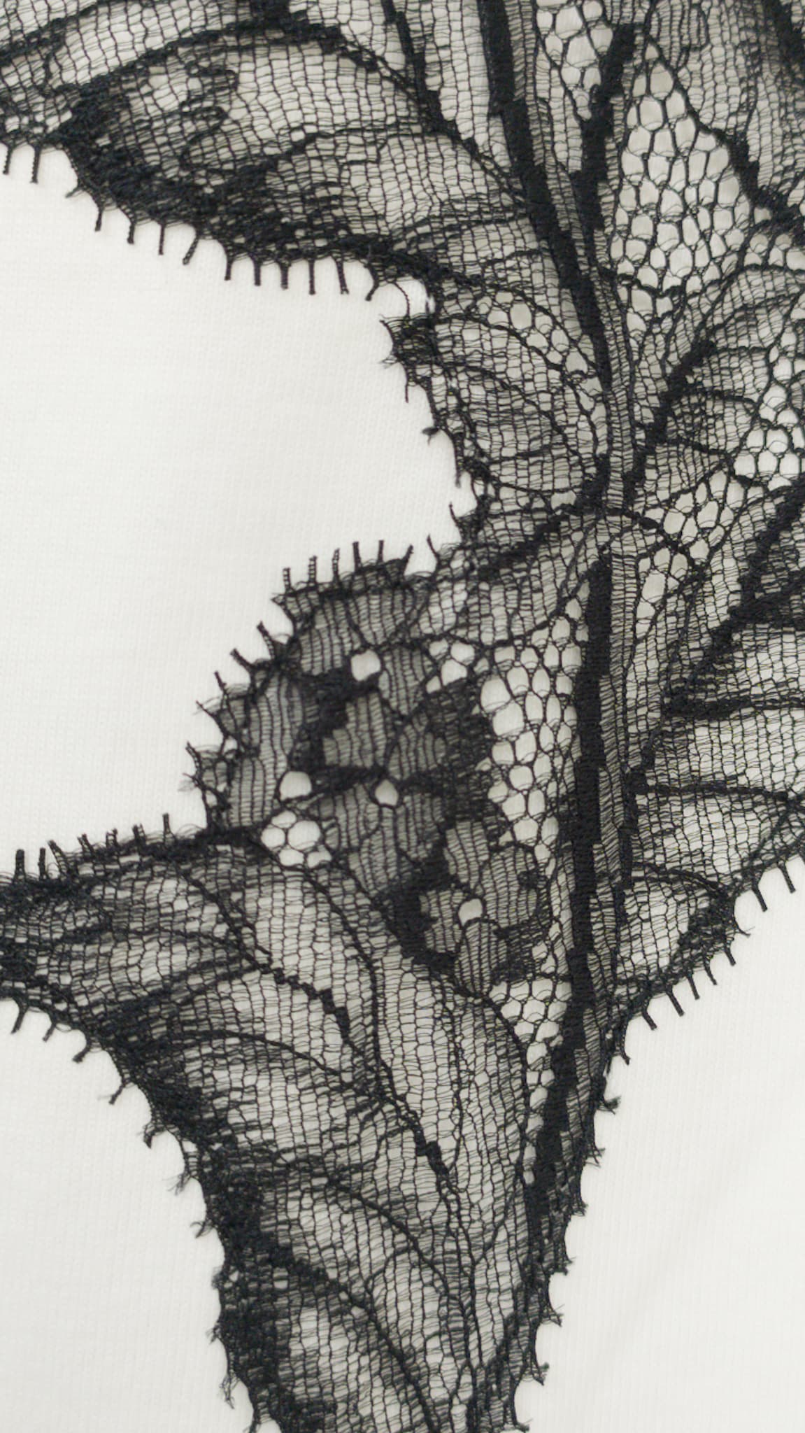 033-16821-6
